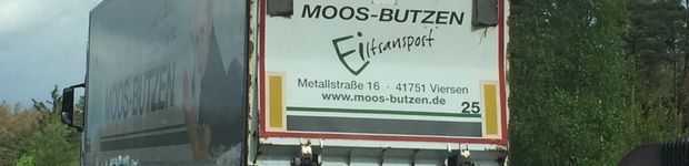 Bild zu Moos-Butzen