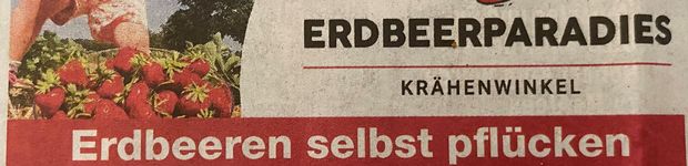 Bild zu Erdbeerparadies Krähenwinkel G. E. Eggers