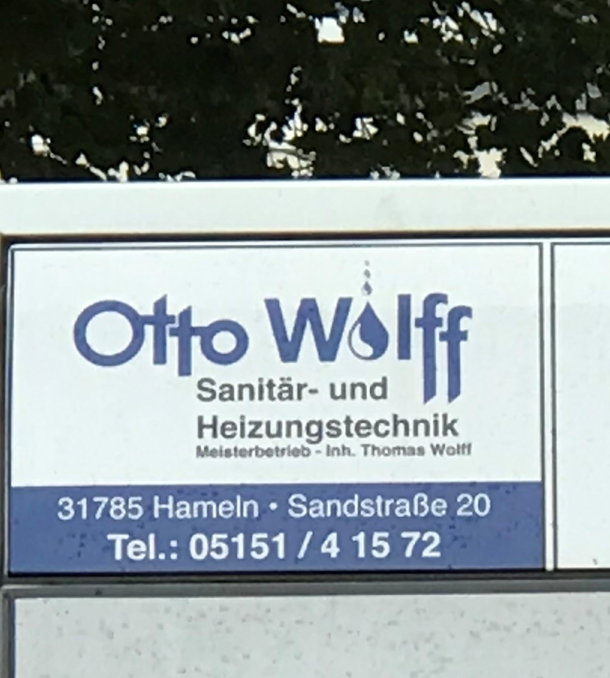 Bild 1 Wolff in Hameln