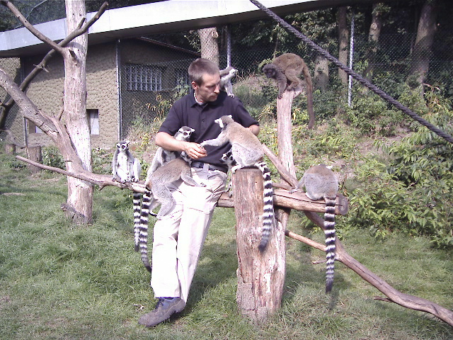 Bild 35 Serengeti-Park Hodenhagen GmbH in Hodenhagen