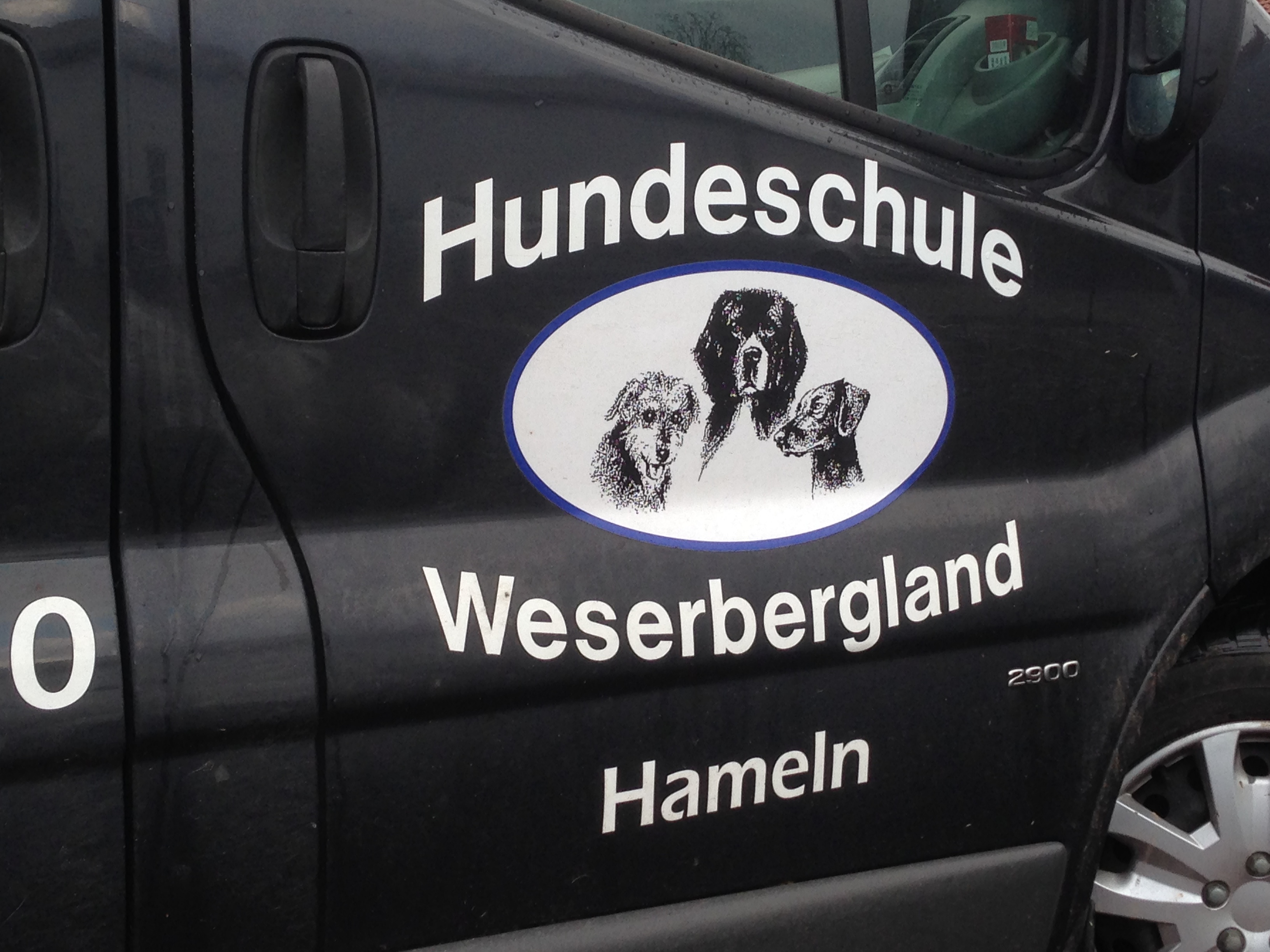 Bild 2 Hundeschule Weserbergland in Hameln