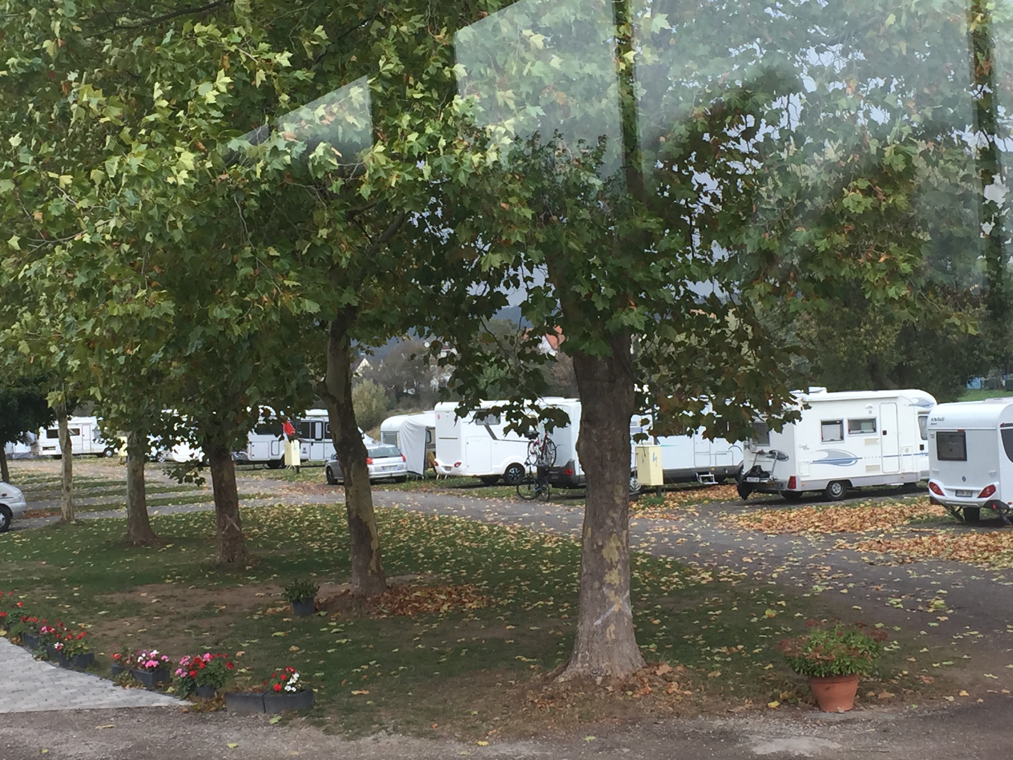 Bild 1 Nicole Gerbeshi Campingplatz Hameln an der Weser in Hameln