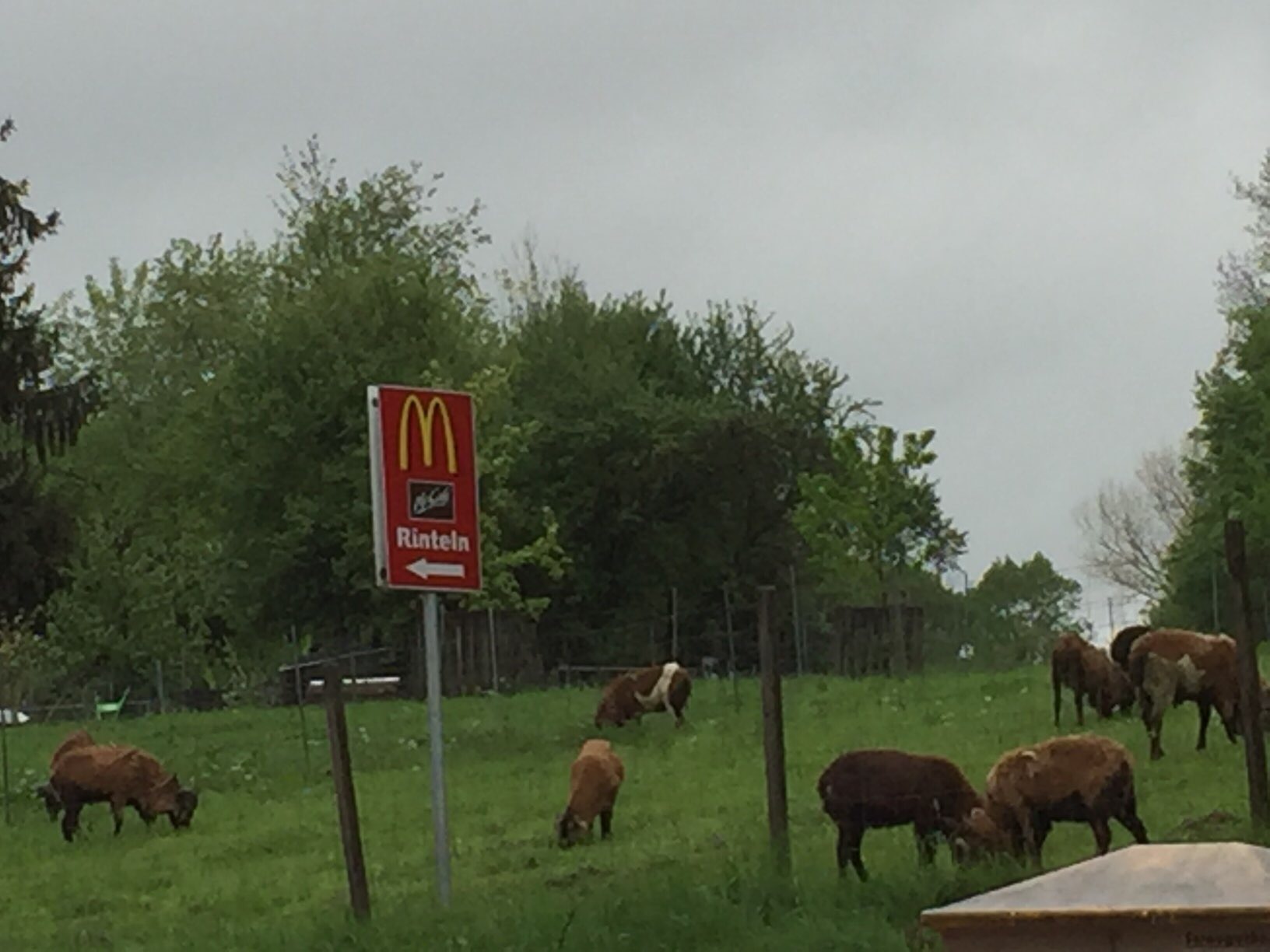 Bild 2 McDonald's in Rinteln