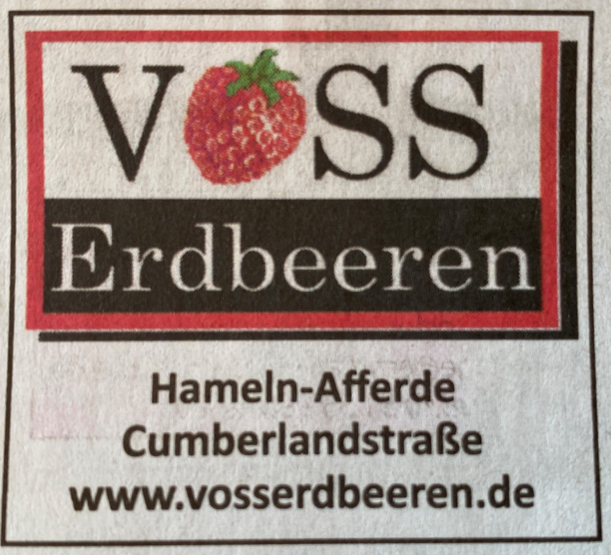 Bild 1 Voss Erdbeeren in Coppenbrügge