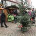 Weihnachtsmarkt Rinteln in Rinteln