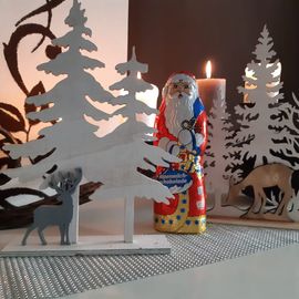 Nikolaus AKTION 
Zur jeder Bestellung schenken wir Ihnen 
einen Schokoladen Weihnachtsmann 