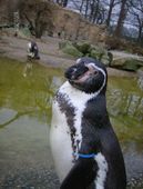 Nutzerbilder NaturZoo Rheine e.V. Auskunft