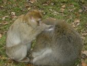 Nutzerbilder NaturZoo Rheine e.V. Auskunft