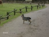 Nutzerbilder NaturZoo Rheine e.V. Auskunft