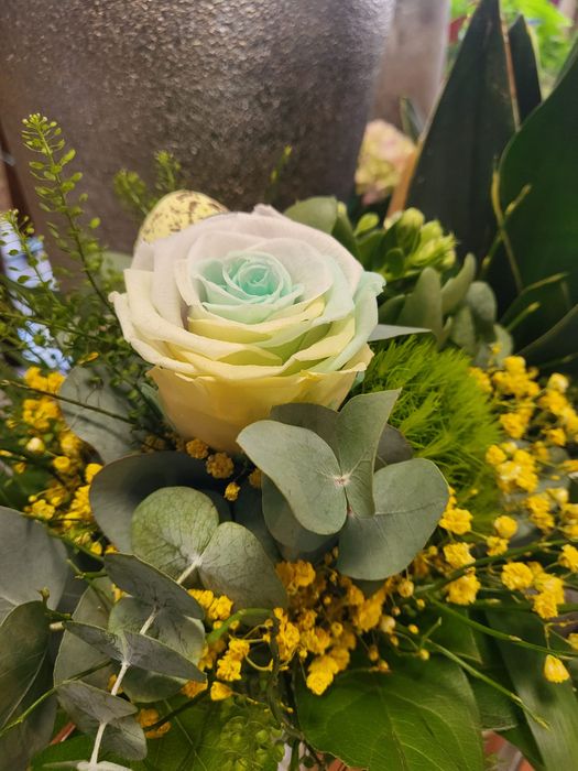 Nutzerbilder Blumen mit Pfiff Inh. Claudia Ziegler-Mast Blumengeschäft