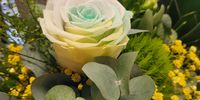 Nutzerfoto 1 Blumen mit Pfiff Inh. Claudia Ziegler-Mast Blumengeschäft