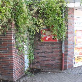 Piss-Ecke neben der Fahrrad-Abstellanlage, 4.10.2014. Immerhin wurden die Brombeer-Ranken inzwischen zur&uuml;ckgeschnitten, siehe mein  Bild vom 3.1.2015.