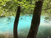 Nutzerbilder Blautopfhaus Schönhofer