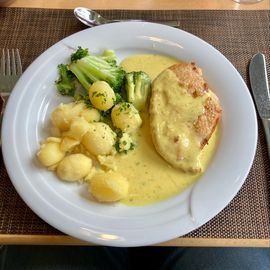 Hähnchenbrust an Currysoße …