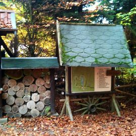 Waldschenke am Baasee in Bad Freienwalde