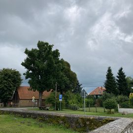 Naturdenkmal »Dorfeiche« Kieve in Kieve