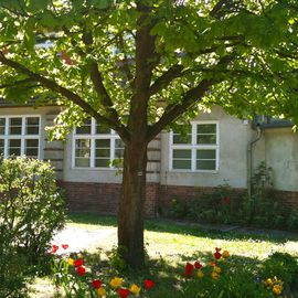 Kinderschule Oberhavel Grundschule in freier Trägerschaft in Eden Stadt Oranienburg