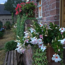 Galerie & Café im Herrenhaus Dobis in Wettin-Löbejün