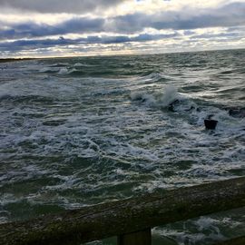 Letzter Blick von der Seebrücke, dann geht es nach Hause 