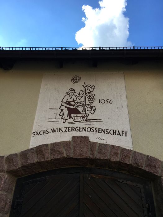 Nutzerbilder Sächsische Winzergenossenschaft Meißen e.G.