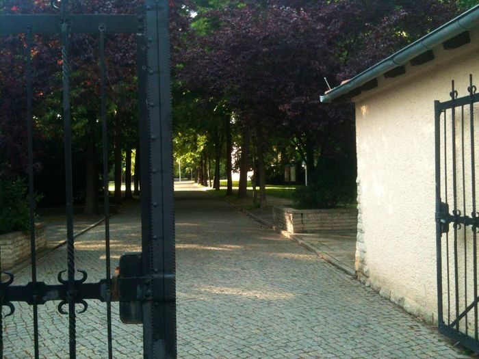 Nutzerbilder Stiftung Preußische Schlösser und Gärten Berlin-Brandenburg Schloss Schönhausen