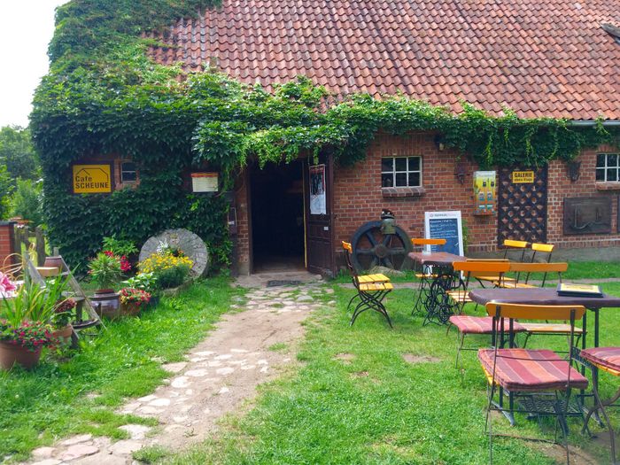 Bilder Und Fotos Zu Cafe Scheune In Wredenhagen Dorfstr