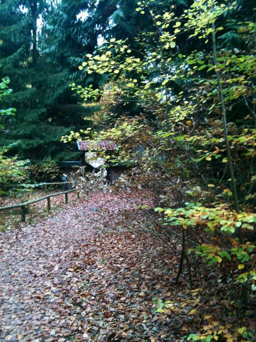 Nutzerbilder Waldschenke am Baa-See