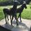 Bronze-Skulptur »Junge Pferde« in Berlin