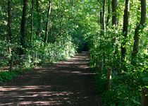 Bild zu Naturschutzgebiet »Fauler See«