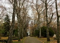 Bild zu Ev. Georgen-Parochial-Friedhof I & Neuer St. Marien-St. Nikolai-Friedhof