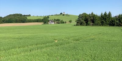 Schwartenbergbaude Inh. Jörg Müller Gaststätte und Pension in Neuhausen im Erzgebirge