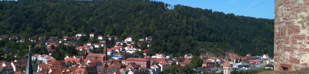 Bild zu Burg Wertheim