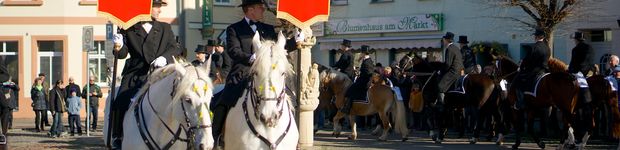 Bild zu Leiser Margot Blumenhaus am Markt