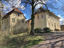 Bild zu Schloss Tiefurt