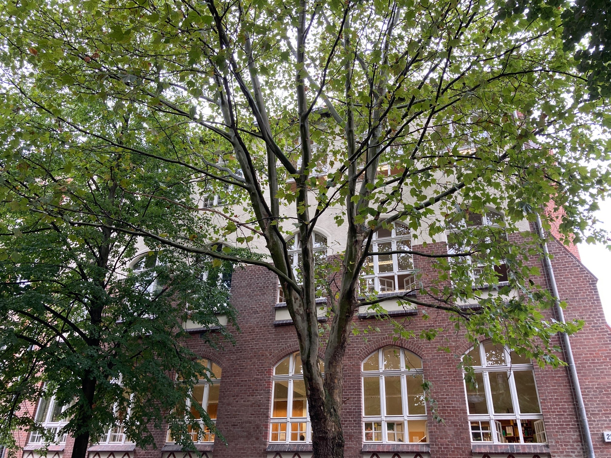 Bild 11 Katholische Theresienschule in Berlin