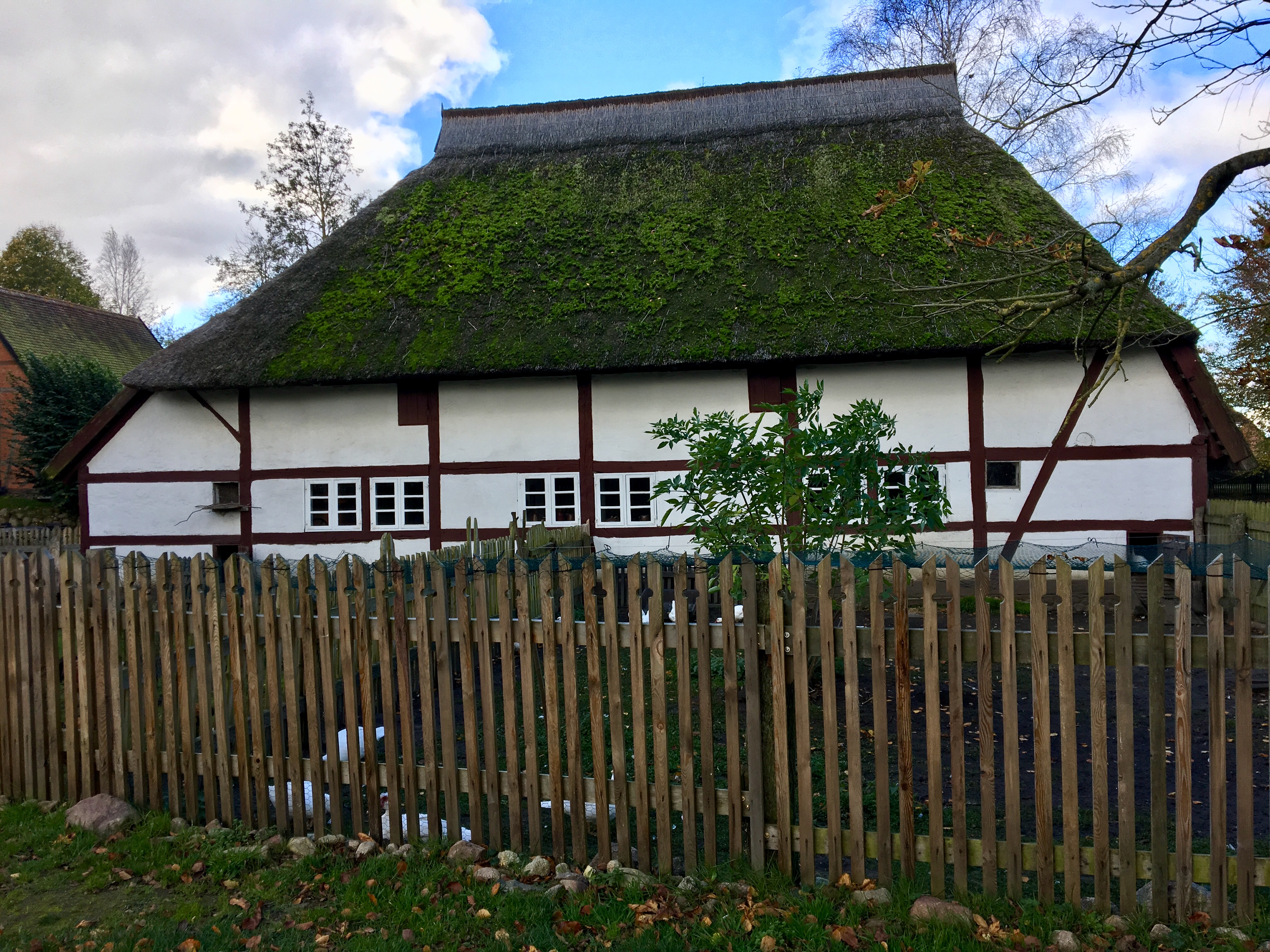 Bild 15 Freilichtmuseum Klockenhagen in Ribnitz-Damgarten