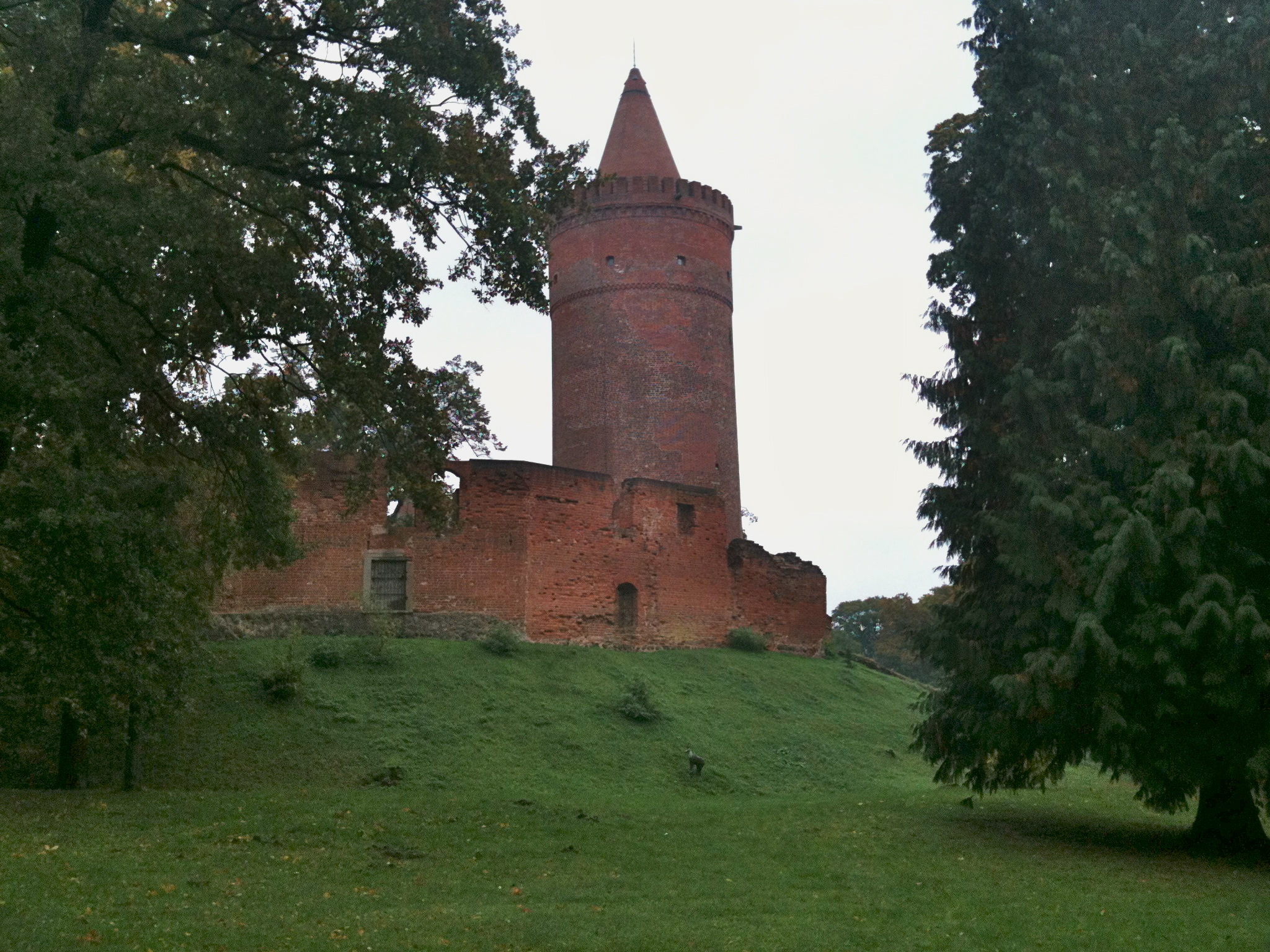 Bild 7 Burg Stargard in Burg Stargard