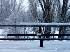 Guten Morgen, der Schnee der letzten Nacht liegt noch ...