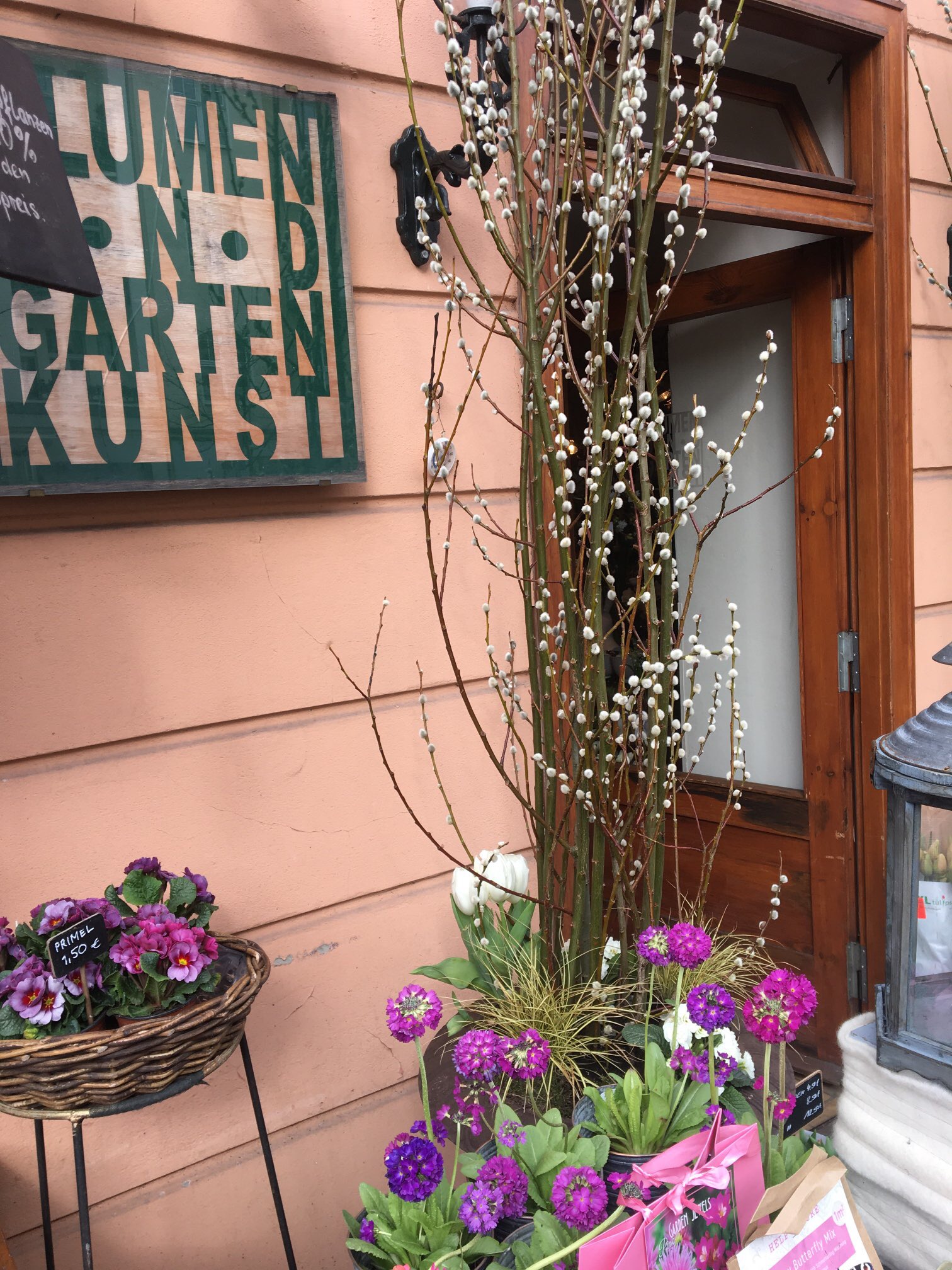 Bild 3 Blumen- und Gartenkunst Tunger-Schnur GmbH in Berlin