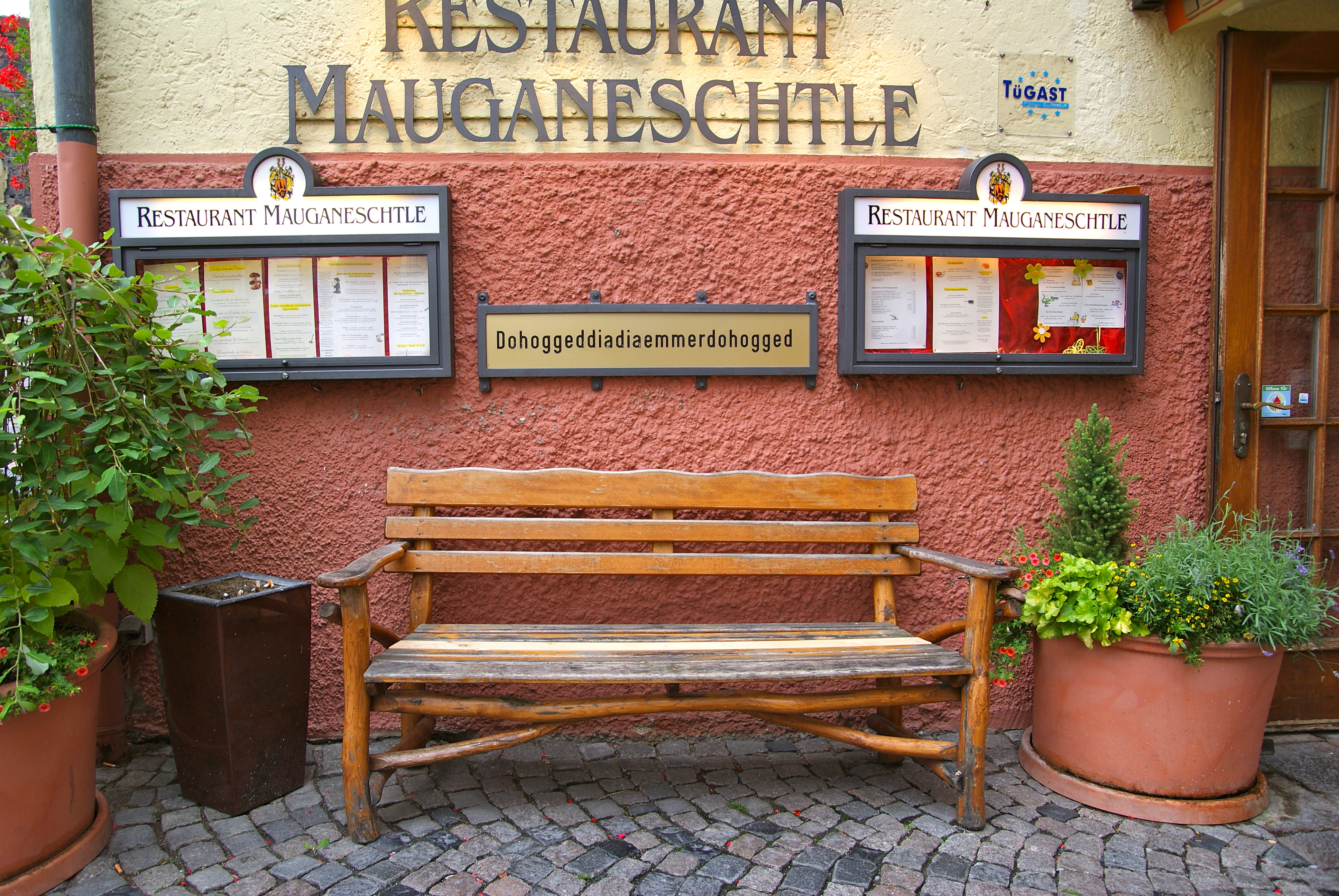 Bild 6 Am Schloß in Tübingen