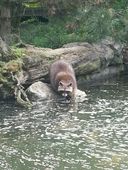 Nutzerbilder ZOO Duisburg AG