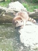 Nutzerbilder ZOO Duisburg AG