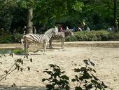 Nutzerbilder ZOO Duisburg AG