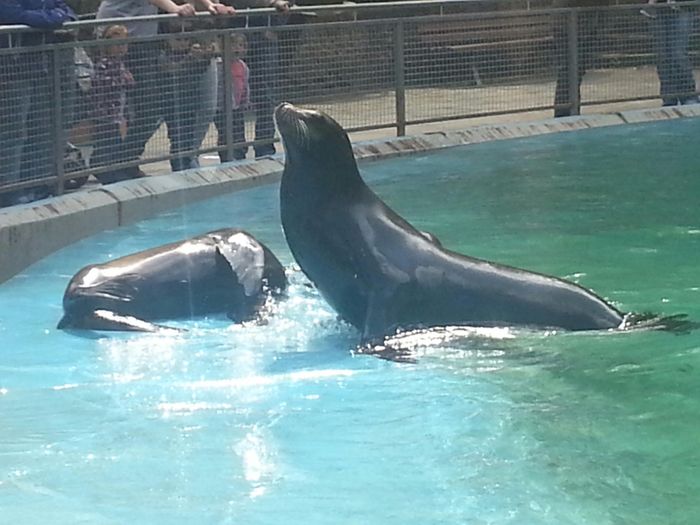 Nutzerbilder ZOO Duisburg AG