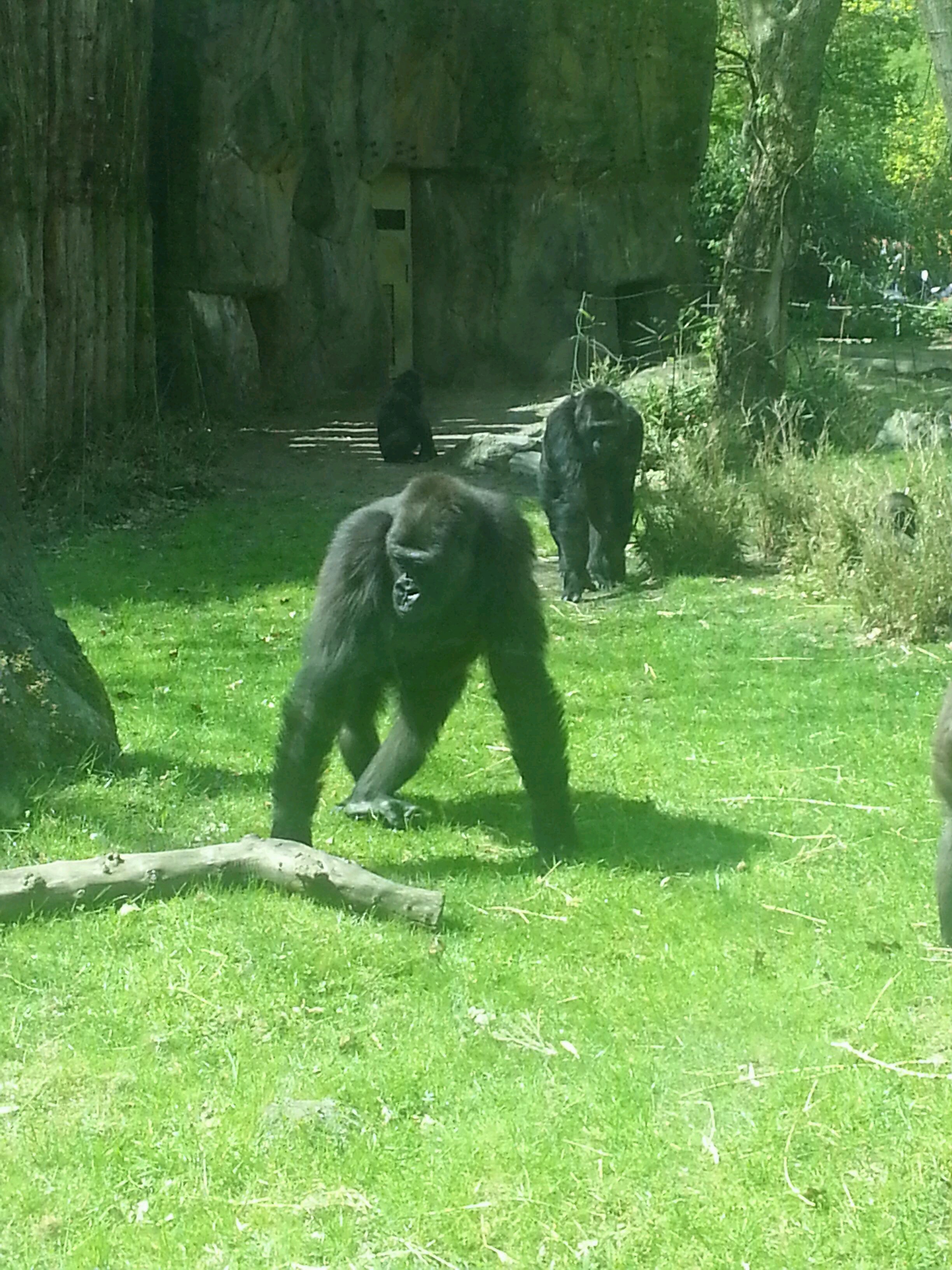 Bild 106 ZOO Duisburg AG in Duisburg