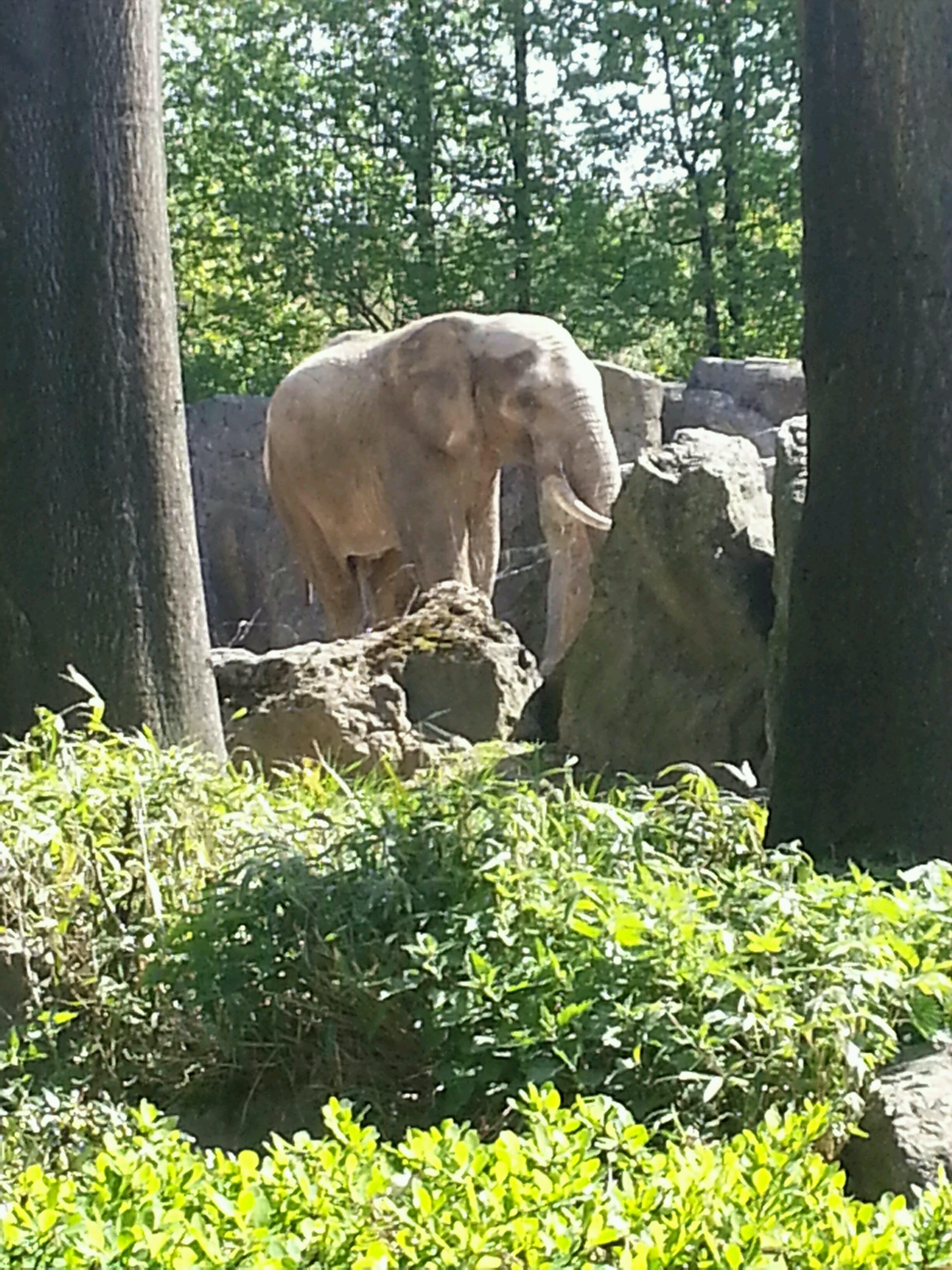 Bild 113 ZOO Duisburg AG in Duisburg