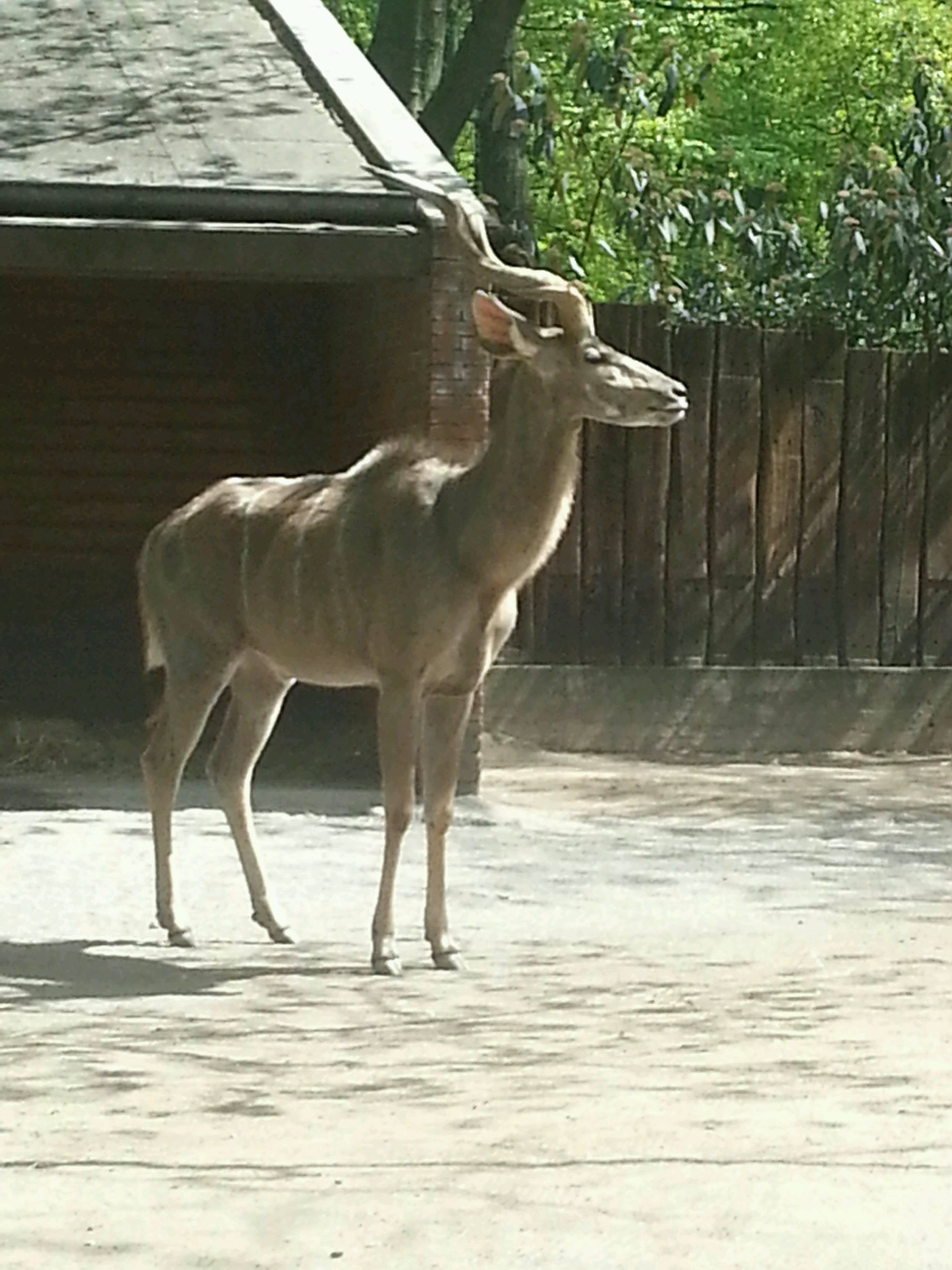 Bild 107 ZOO Duisburg AG in Duisburg