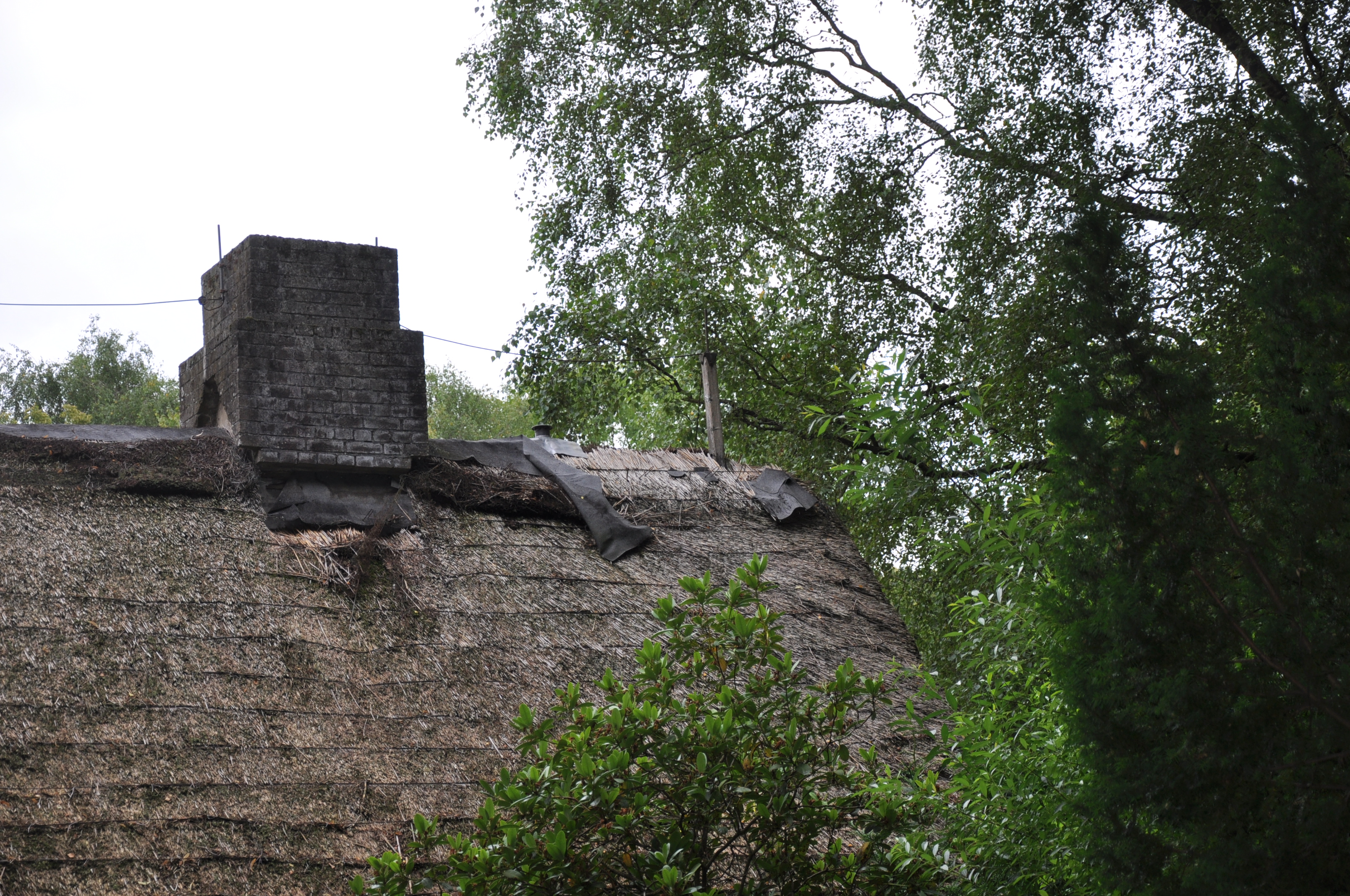 Bild 20 Tierparkvereinigung Neumünster e.V. in Neumünster