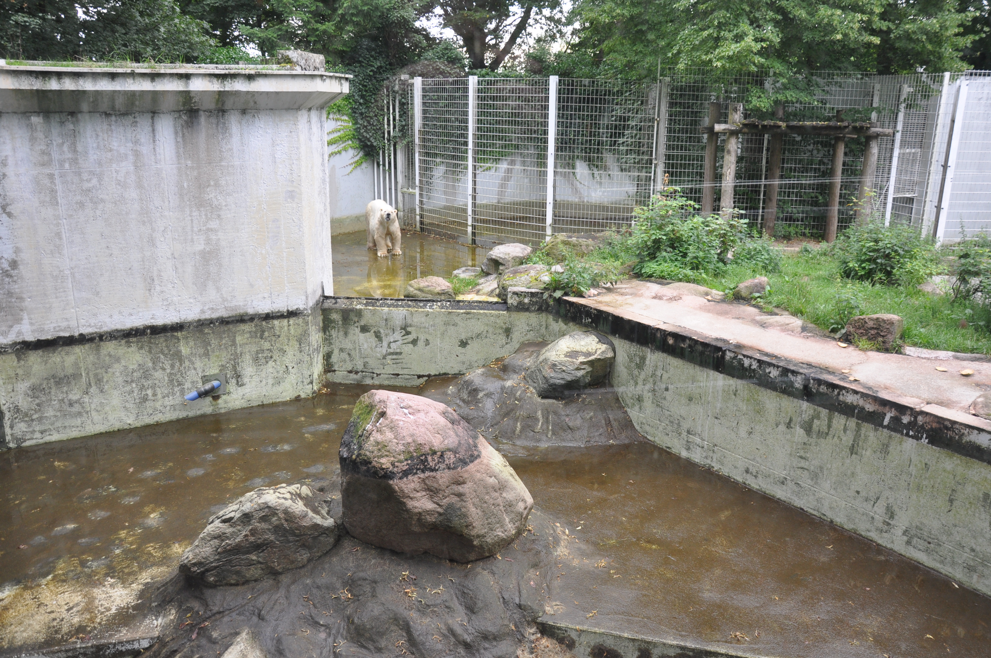 Bild 13 Tierparkvereinigung Neumünster e.V. in Neumünster