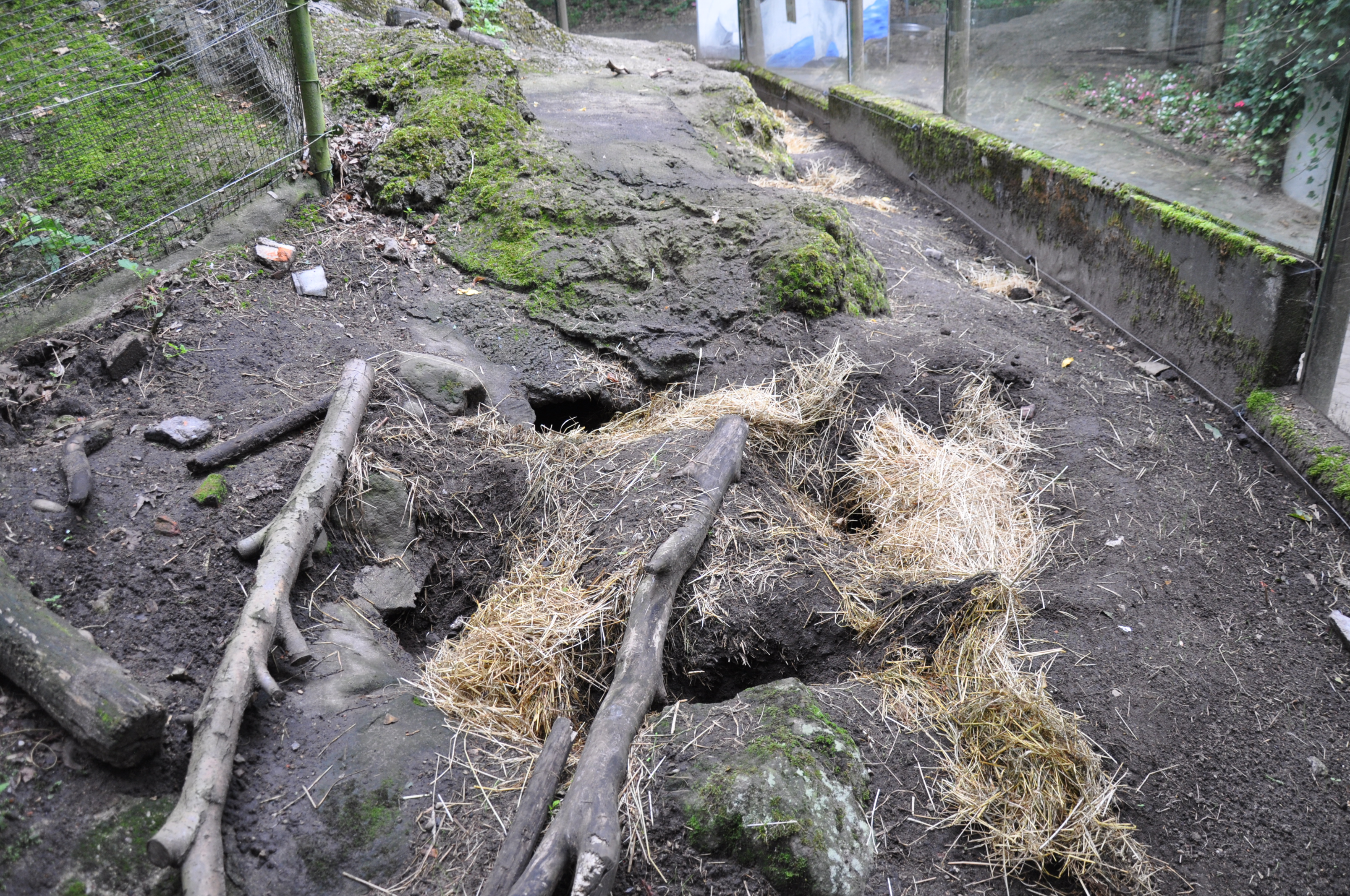 Bild 10 Tierparkvereinigung Neumünster e.V. in Neumünster